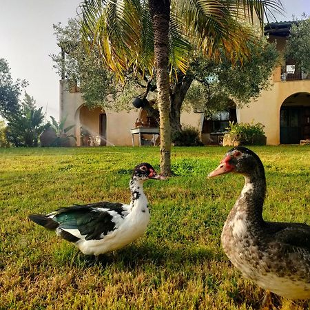 La Finestra Sul Limone Bed & Breakfast Castelvetrano Exterior foto