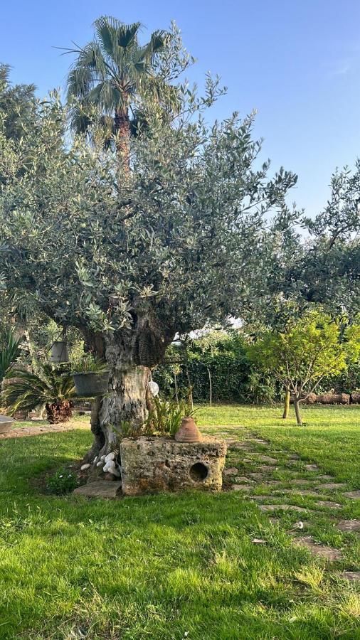La Finestra Sul Limone Bed & Breakfast Castelvetrano Exterior foto