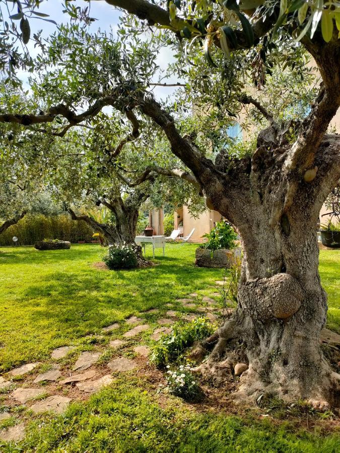 La Finestra Sul Limone Bed & Breakfast Castelvetrano Exterior foto