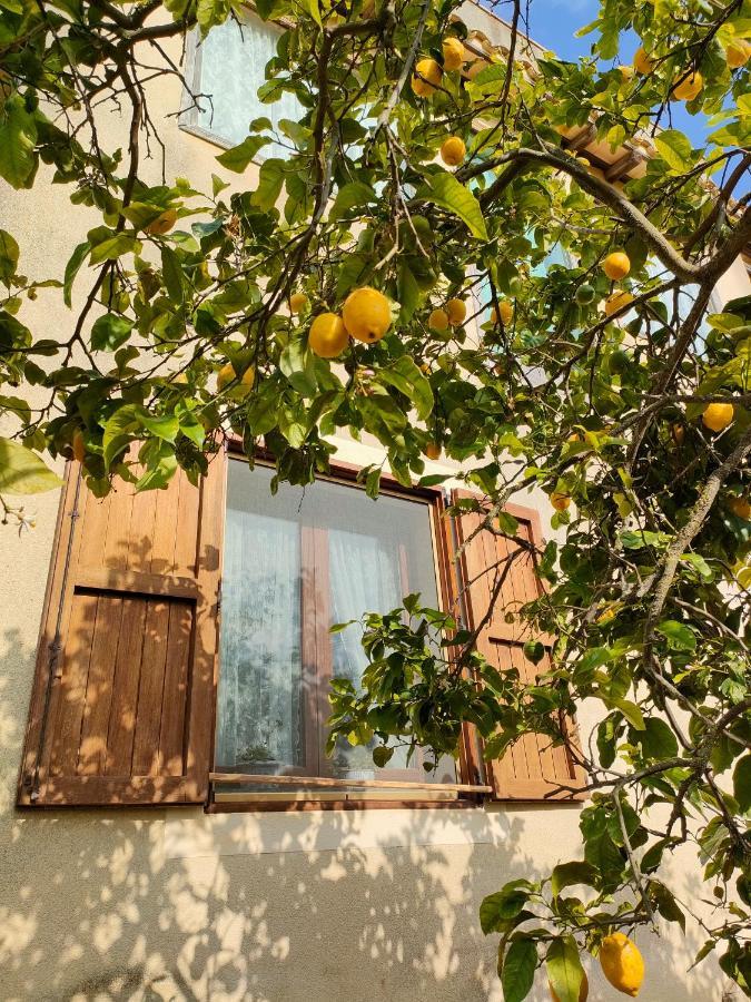 La Finestra Sul Limone Bed & Breakfast Castelvetrano Exterior foto